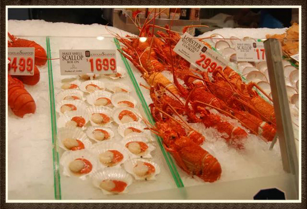 歡迎澳大利亞展團強勢回歸丨World Seafood Shanghai(圖3)