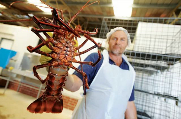 歡迎澳大利亞展團強勢回歸丨World Seafood Shanghai(圖4)