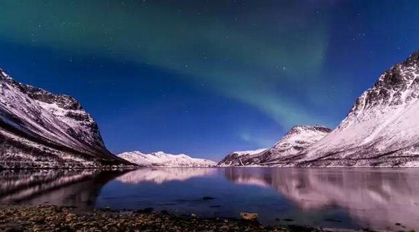 國際展區(qū)又添特色，2018上海漁博會將迎來挪威海產(chǎn)品(圖4)