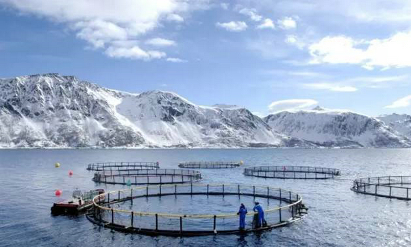 國際展區(qū)又添特色，2018上海漁博會將迎來挪威海產(chǎn)品(圖3)