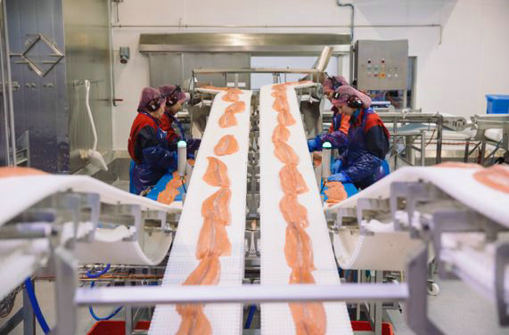 國際展區(qū)又添特色，2018上海漁博會將迎來挪威海產(chǎn)品(圖10)
