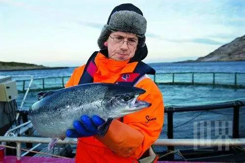 國際展區(qū)又添特色，2018上海漁博會將迎來挪威海產(chǎn)品(圖11)