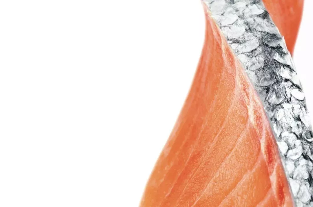 中、智簽訂水產(chǎn)新協(xié)議，推動智利出口更多冰鮮三文魚到中國(圖3)