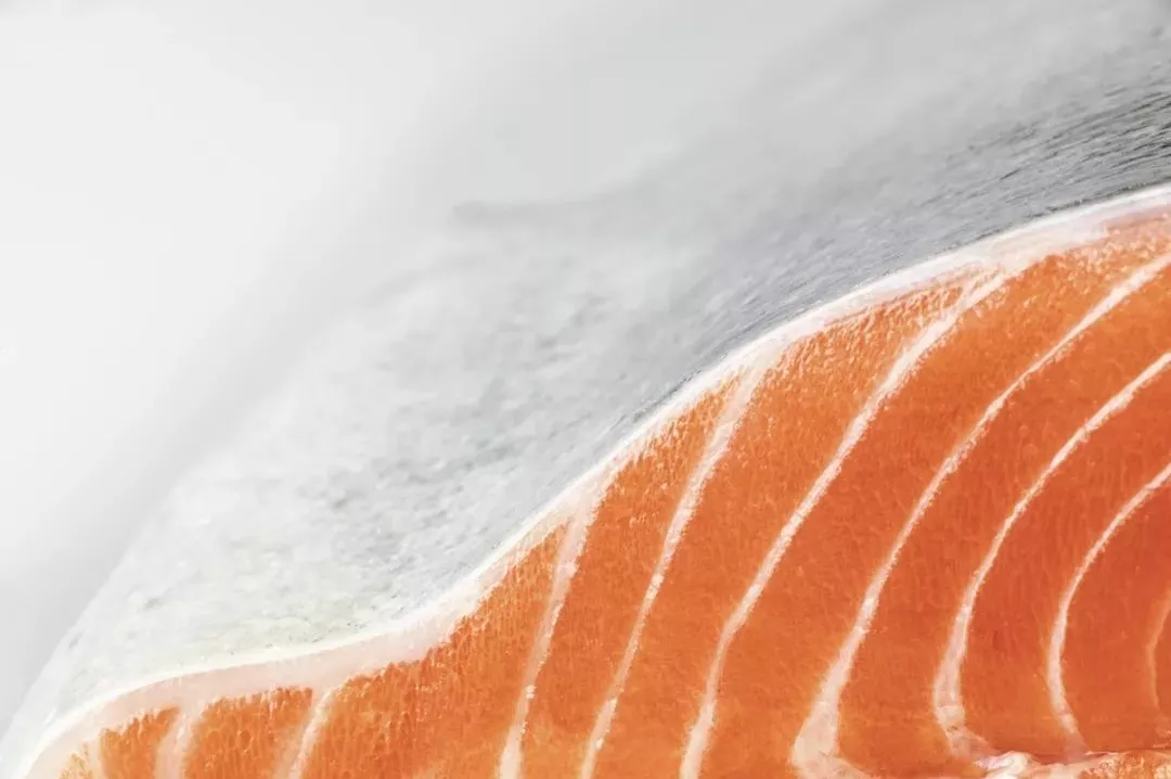 中、智簽訂水產(chǎn)新協(xié)議，推動智利出口更多冰鮮三文魚到中國(圖5)