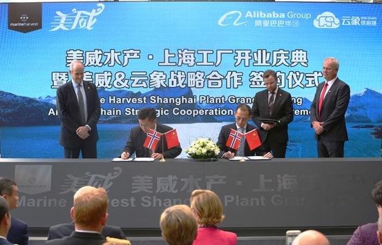 阿里云象、美威簽署戰(zhàn)略合作備忘錄，夯實三文魚供應體系(圖2)