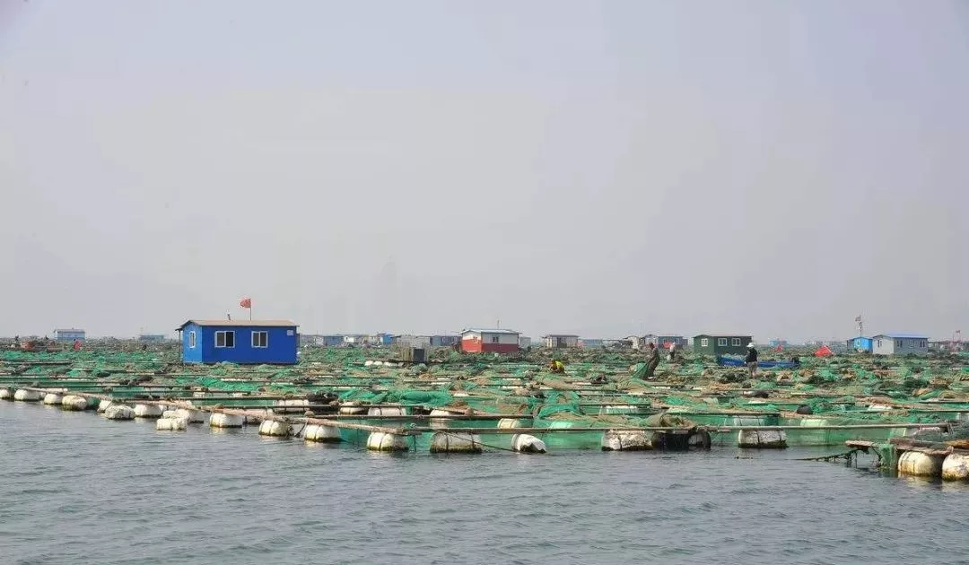 FAO預(yù)測：2030年全球漁業(yè)產(chǎn)量超過2億噸(圖2)