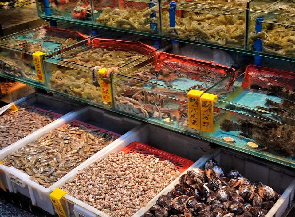 中國進(jìn)口水產(chǎn)呈爆炸式增長(圖2)