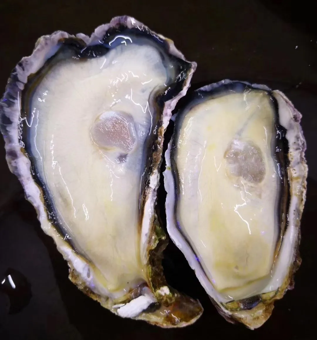 大連連迪水產(chǎn)有限公司——海聚百味，優(yōu)質(zhì)食材，盡在連迪(圖7)