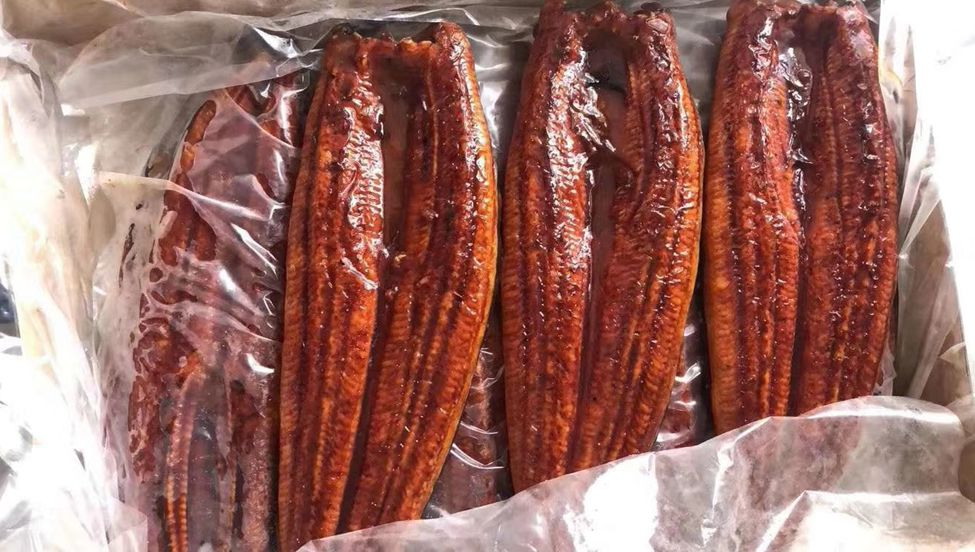 江西湖辰生態(tài)科技有限公司——鰻鰻人生，有你向伴(圖3)