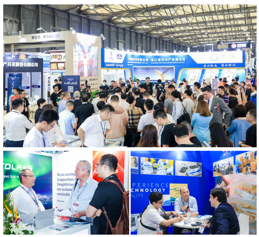 蓄勢待發(fā) 精彩不斷 | 8月上海漁博會如期舉行，期待與您再會！(圖3)