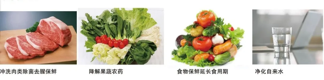 上海溱道環(huán)保技術(shù)有限公司——十秒殺菌去腥，助力現(xiàn)代食安技術(shù)發(fā)展(圖3)