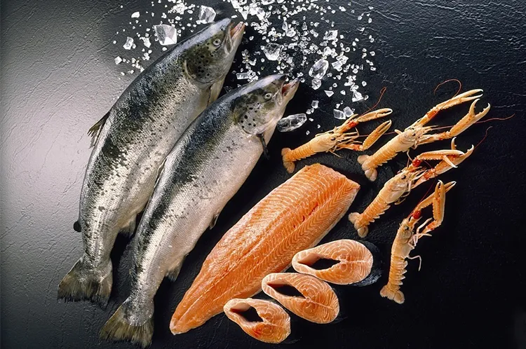 NISSUI --百年日水，全球供應(yīng)(圖4)