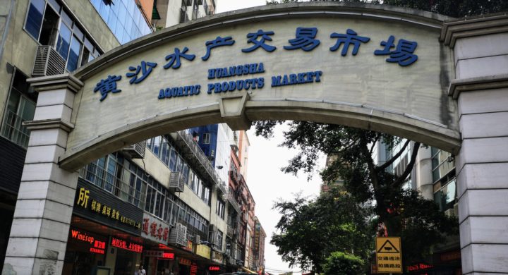 Chinas largest seafood market back in business(圖1)