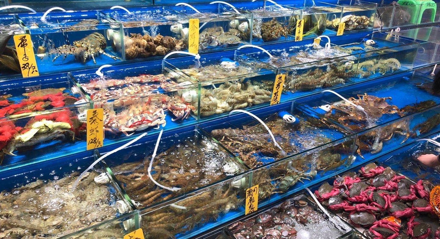 Chinas largest seafood market back in business(圖2)