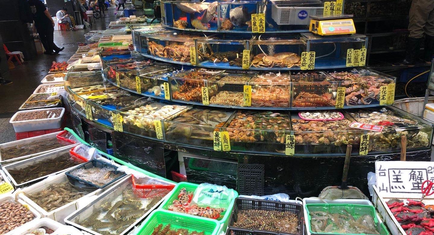 Chinas largest seafood market back in business(圖3)