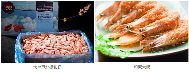 沈陽親兄弟貿(mào)易有限公司——現(xiàn)代化綜合性水產(chǎn)企業(yè)(圖5)