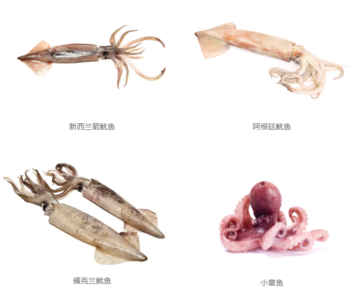 深圳市海博食品營銷有限公司——專業(yè)可靠的全球采購和進(jìn)口服務(wù)商(圖9)