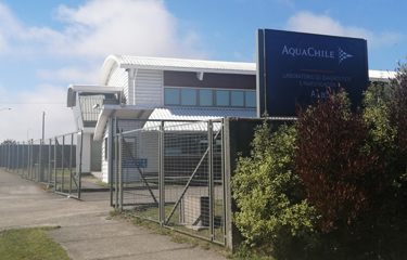 AquaChile lab to conduct coronavirus testing in southern Chile (圖1)