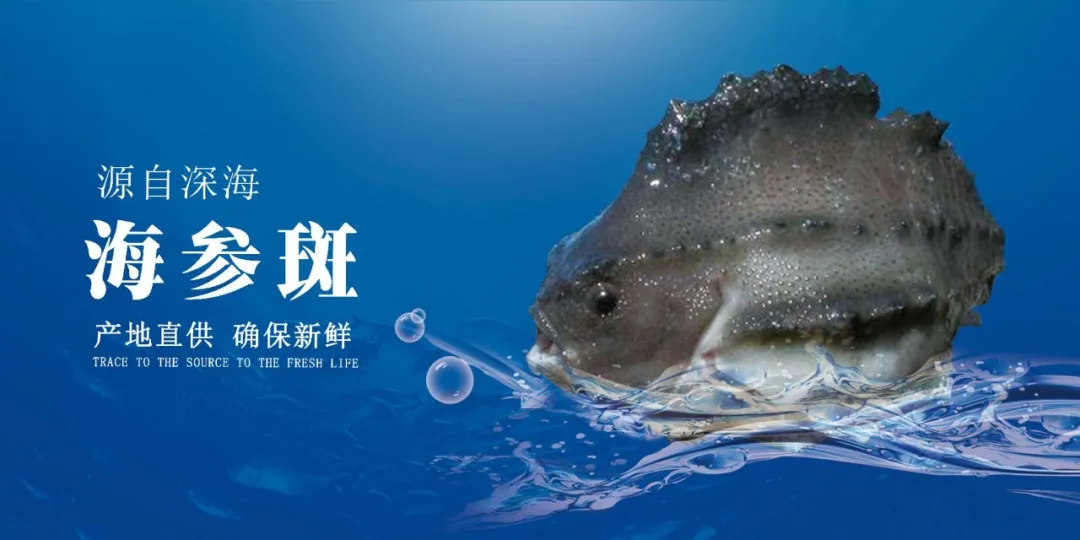 青島佳之杰水產(chǎn)品有限公司——專業(yè)進(jìn)出口、多元化企業(yè)(圖5)