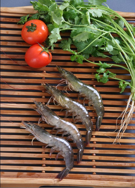 渤海水產(chǎn)（青島）有限公司——提供可溯源的生鮮產(chǎn)品(圖9)