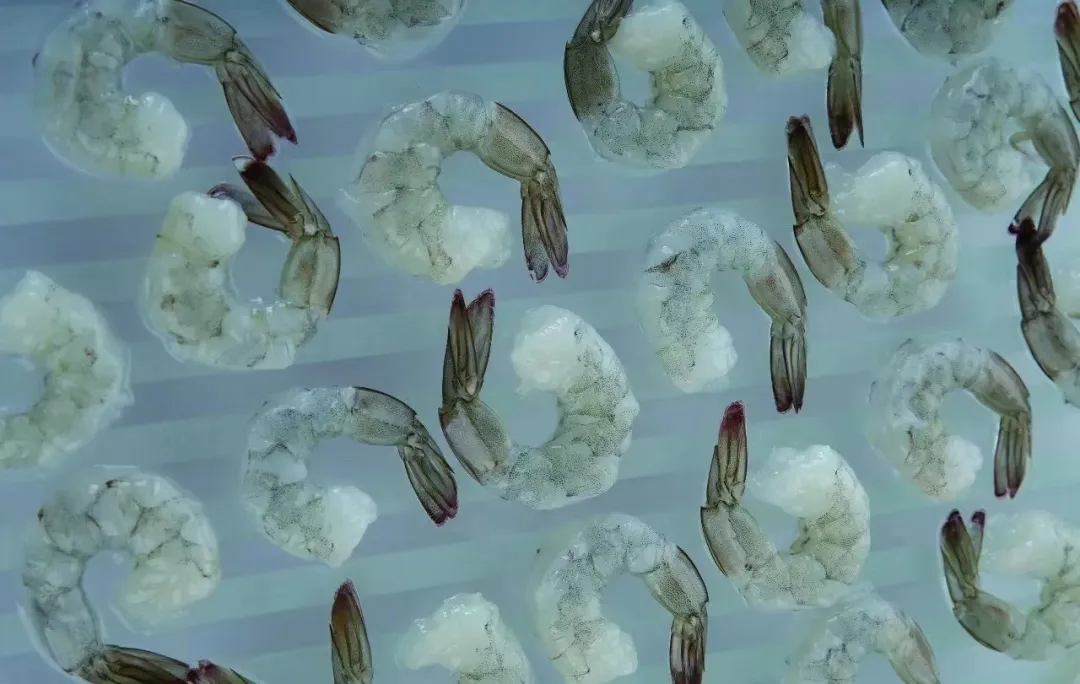 汕頭萬海貿(mào)易有限公司——注重品質(zhì)，敢為人先；科技創(chuàng)新，引領未來！(圖6)