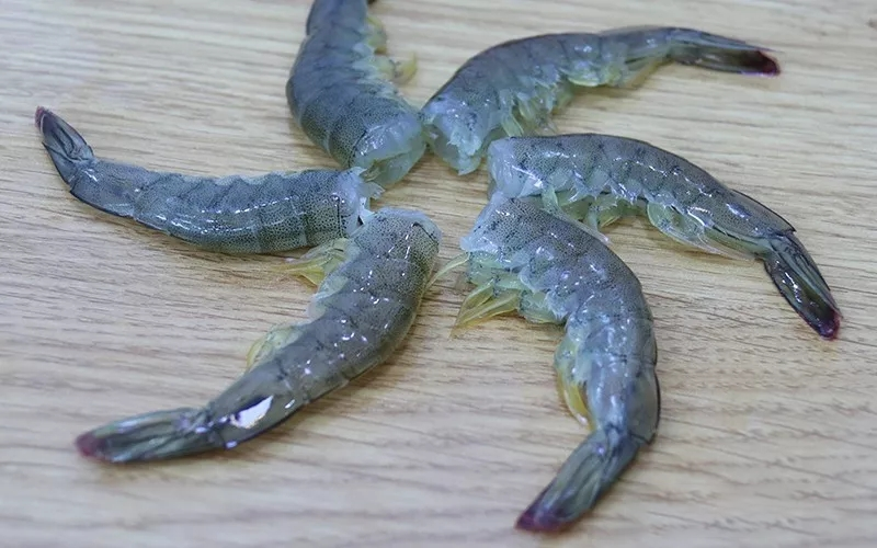 汕頭萬海貿(mào)易有限公司——注重品質(zhì)，敢為人先；科技創(chuàng)新，引領未來！(圖9)