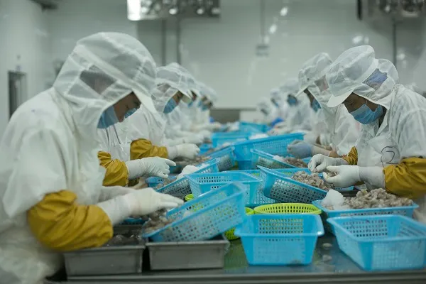 渤海水產(chǎn)（青島）有限公司——提供可溯源的生鮮產(chǎn)品(圖3)