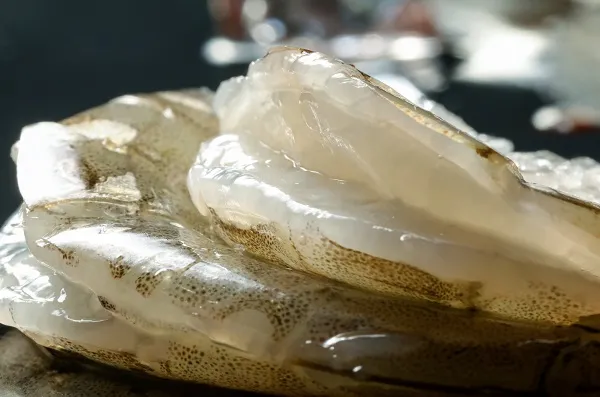 渤海水產(chǎn)（青島）有限公司——提供可溯源的生鮮產(chǎn)品(圖4)