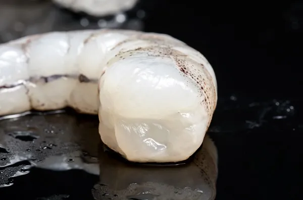 渤海水產(chǎn)（青島）有限公司——提供可溯源的生鮮產(chǎn)品(圖5)