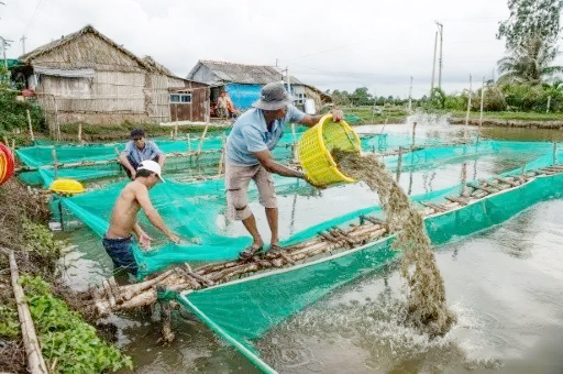 國內(nèi)蝦價普漲，國際生產(chǎn)、出口受沖擊，疫情推動后期全球?qū)ξr供應趨緊(圖5)