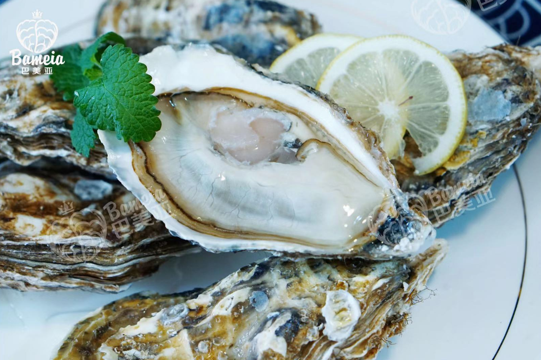 福建優(yōu)益佳水產(chǎn)有限公司——優(yōu)益佳水產(chǎn) 用心做好蠔(圖5)