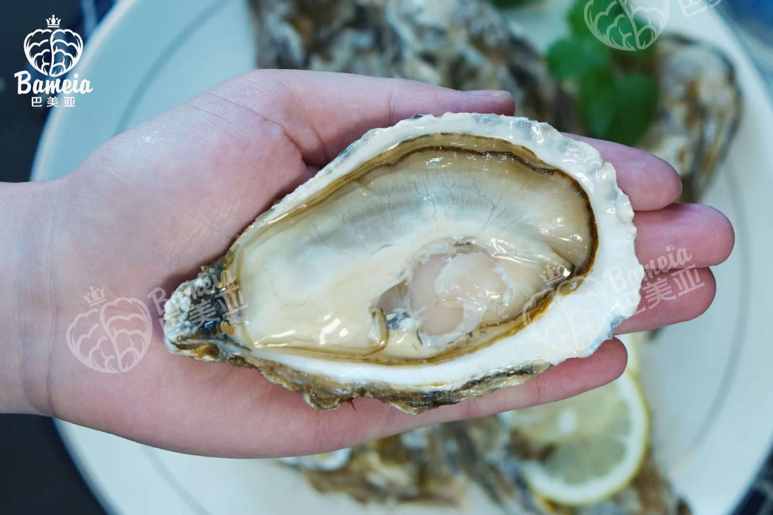 福建優(yōu)益佳水產(chǎn)有限公司——優(yōu)益佳水產(chǎn) 用心做好蠔(圖6)