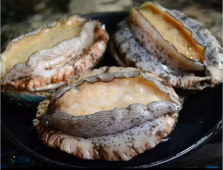 大連中科海產(chǎn)品發(fā)展有限公司邀您參加第15屆上海國際漁業(yè)博覽會！(圖6)