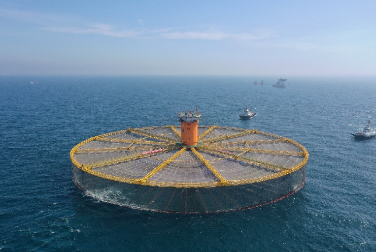 年產(chǎn)1500噸大黃魚(yú)!全國(guó)首臺(tái)、世界第一大深海養(yǎng)殖場(chǎng)“海峽Ⅰ號(hào)”投設(shè)成功！(圖3)