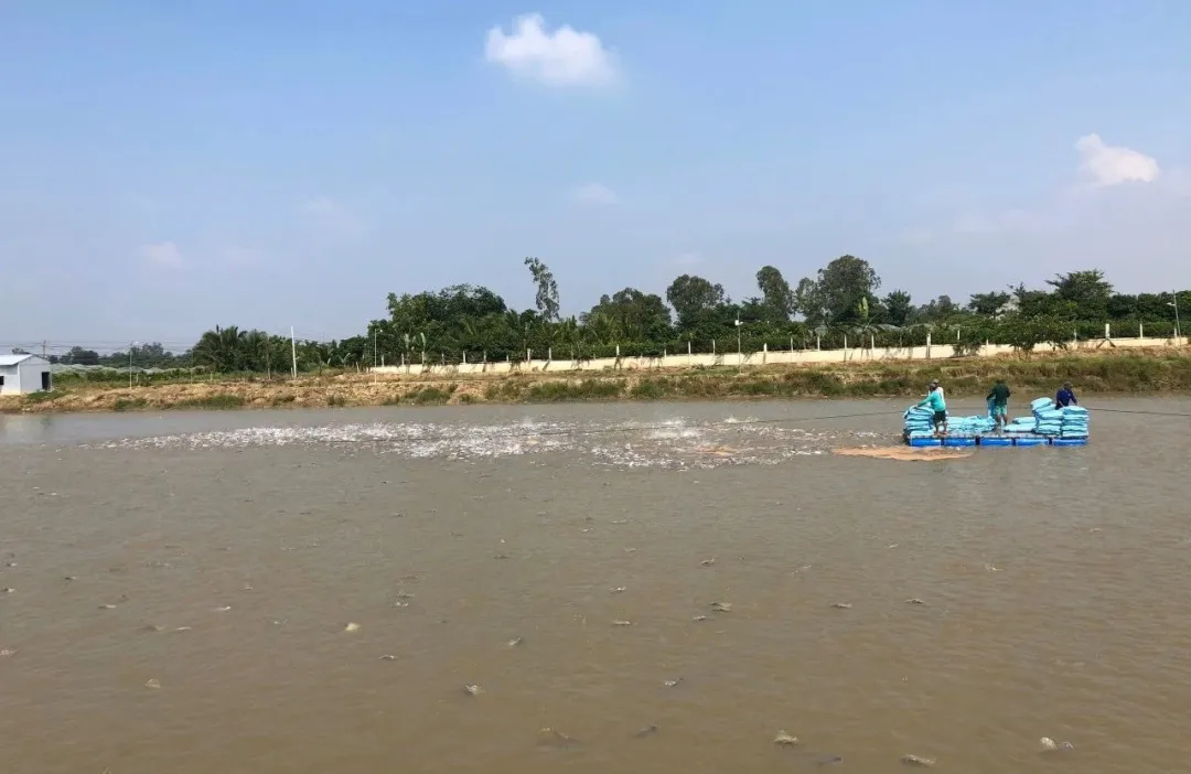 紅玉水產(chǎn)貿(mào)易有限公司——Taste the Mekongs flavor-Quality makes our future(圖3)