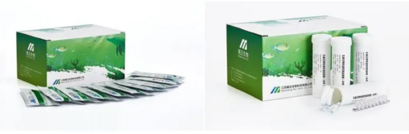 美正集團——食品安全領域的辛勤耕耘者(圖13)