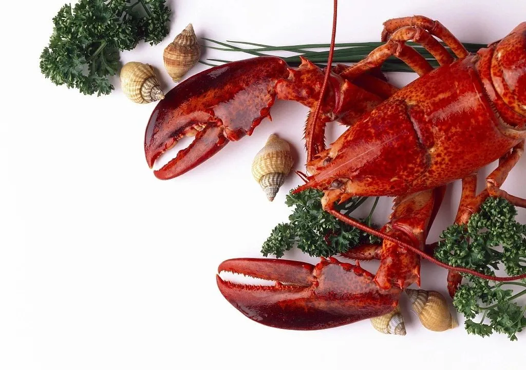 豐富多彩的加拿大海產丨7月22日上午10:00直播間，加拿大駐滬總領館攜多家海產企業(yè)共啟分享“舌尖上的海味”！(圖11)