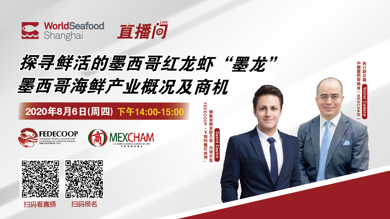 探尋鮮活的墨西哥紅龍蝦丨8月6日下午14:00直播，中國(guó)墨西哥商會(huì)分享墨西哥海鮮產(chǎn)業(yè)概況及商機(jī)！(圖2)