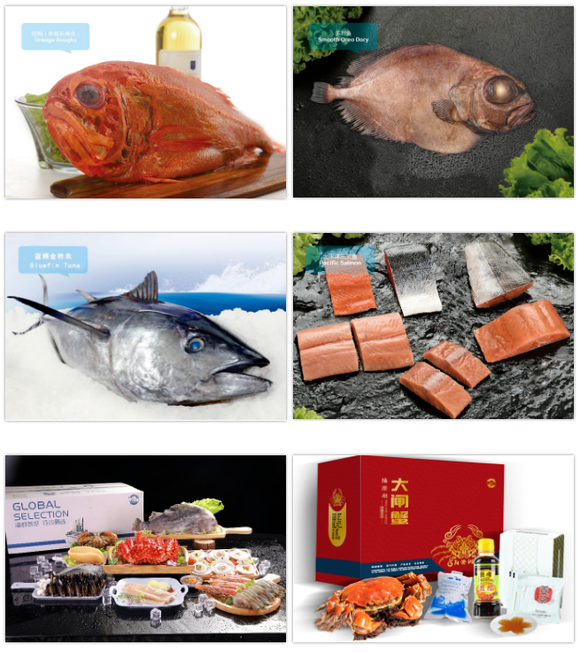 山東海洋物產(chǎn)有限公司——力爭打造成為具有國際影響力的中國海產(chǎn)供應(yīng)鏈綜合服務(wù)領(lǐng)軍企業(yè)(圖5)