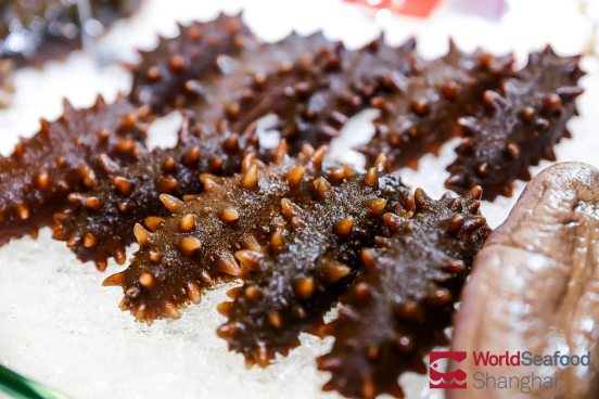 World Seafood Shanghai 2020 has come to a successful conclusion(圖7)