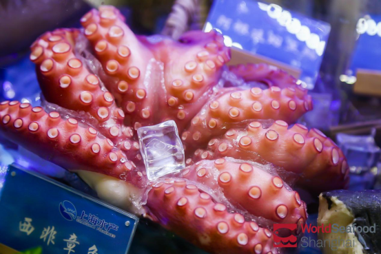 World Seafood Shanghai 2020 has come to a successful conclusion(圖9)
