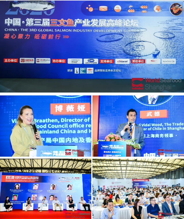 匯行業(yè)名企 創(chuàng)發(fā)展新機 | 2020第15屆上海國際漁業(yè)博覽會今日盛大開幕！(圖31)