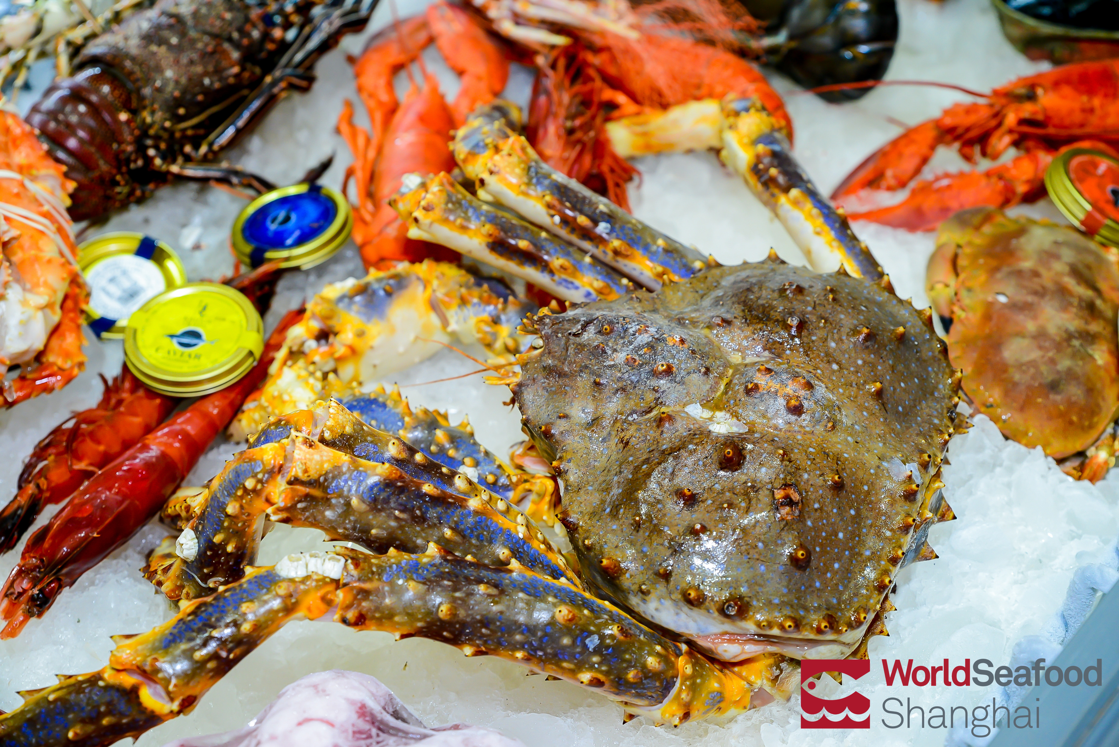 2020第15屆上海國(guó)際漁業(yè)博覽會(huì)圓滿落幕，實(shí)力演繹年度饕餮盛會(huì)，期待明年再相聚！(圖19)