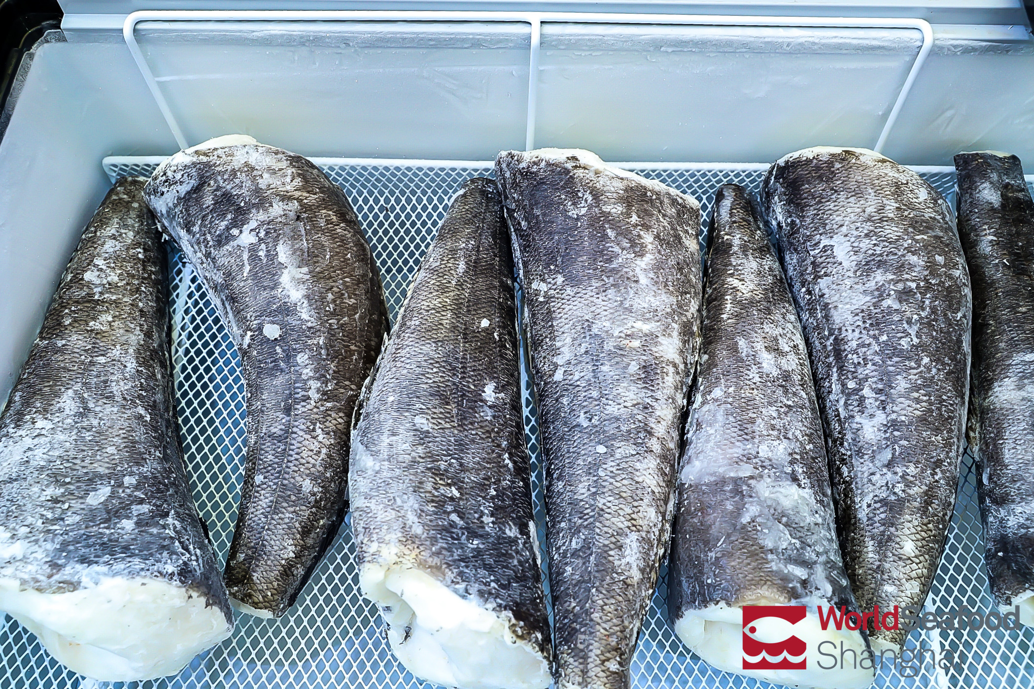 2020第15屆上海國(guó)際漁業(yè)博覽會(huì)圓滿落幕，實(shí)力演繹年度饕餮盛會(huì)，期待明年再相聚！(圖23)