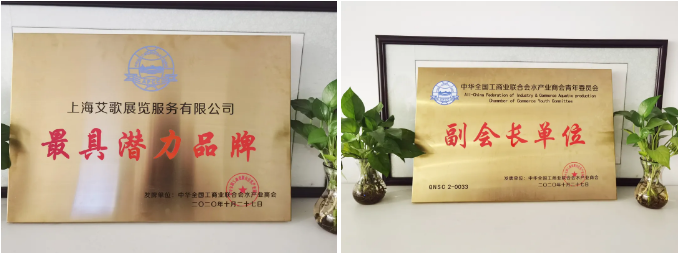 品牌力彰顯！艾歌展覽被授牌“最具潛力品牌”(圖5)