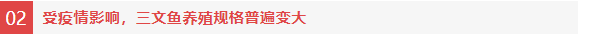 智利三文魚平均規(guī)格上升，為拓展中國(guó)市場(chǎng)簽發(fā)首個(gè)三文魚電子健康證書(圖6)