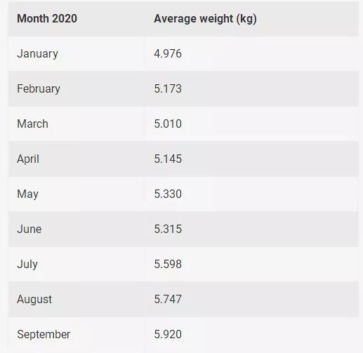 智利三文魚平均規(guī)格上升，為拓展中國(guó)市場(chǎng)簽發(fā)首個(gè)三文魚電子健康證書(圖7)