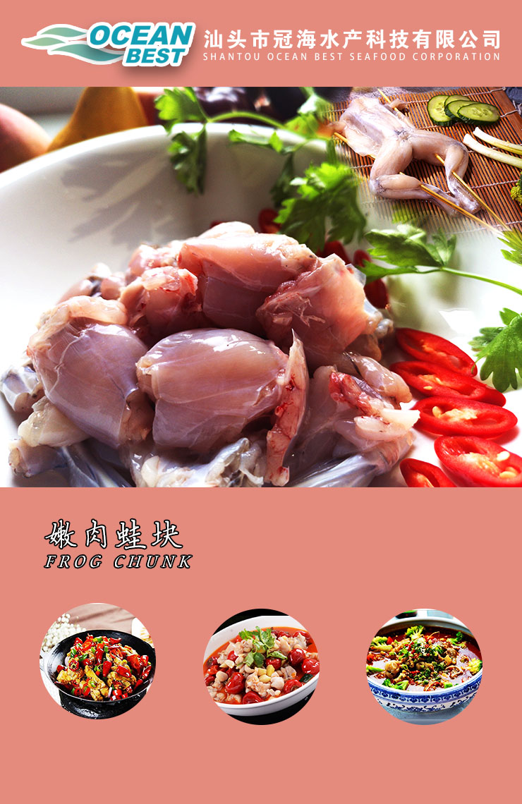 汕頭市冠海水產(chǎn)科技有限公司——團(tuán)結(jié)，創(chuàng)新，高效，共贏(圖5)