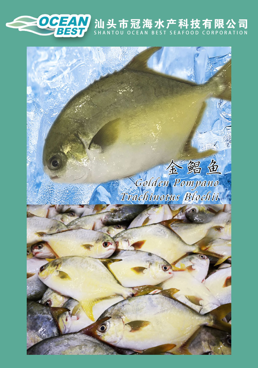 汕頭市冠海水產(chǎn)科技有限公司——團(tuán)結(jié)，創(chuàng)新，高效，共贏(圖16)