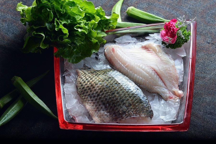 湛江龍威水產(chǎn)攜湛江富昌水產(chǎn) 誠(chéng)邀您蒞臨上海國(guó)際漁業(yè)博覽會(huì)(圖15)